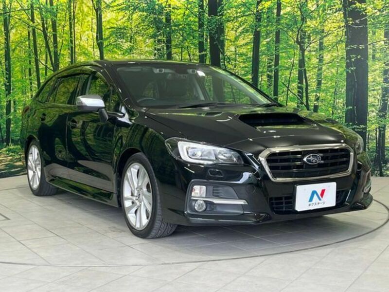 LEVORG-15
