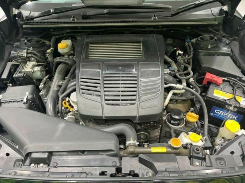 LEVORG-17