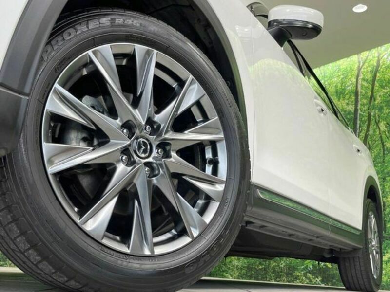 CX-8
