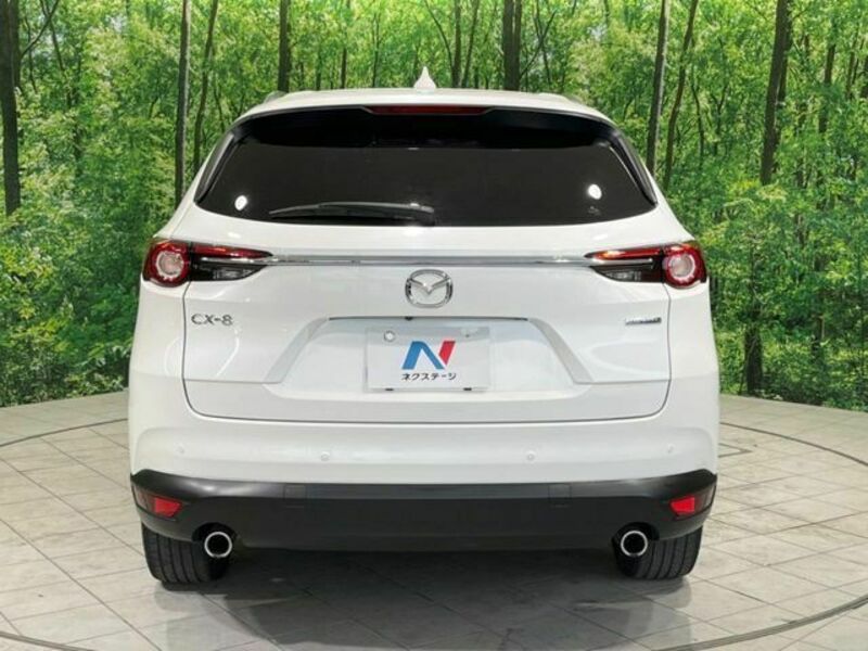 CX-8