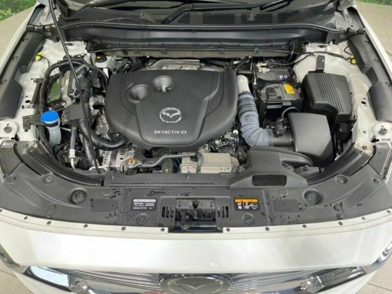 CX-8