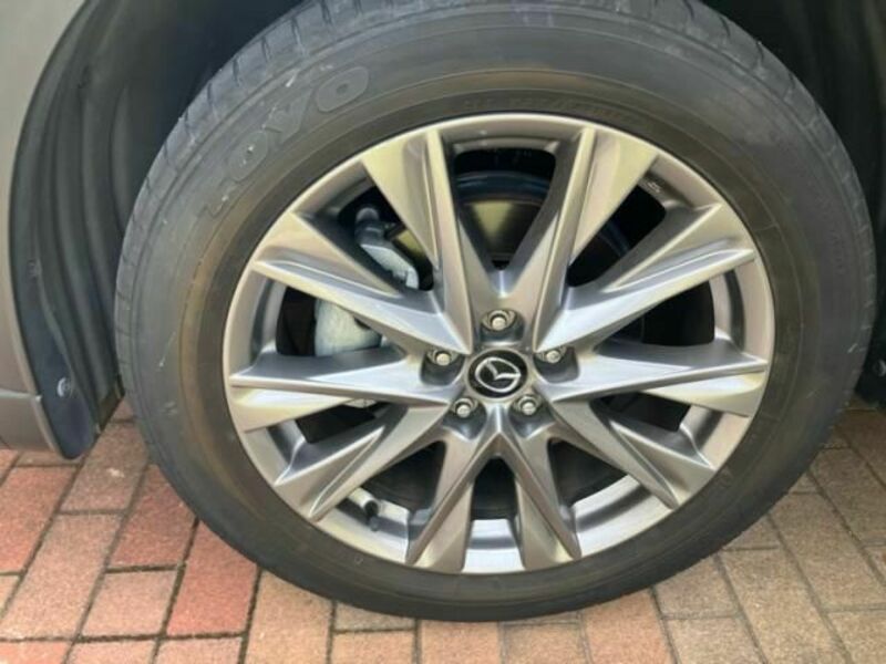 CX-8