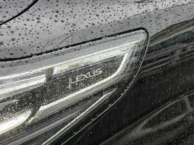 ALPHARD-4