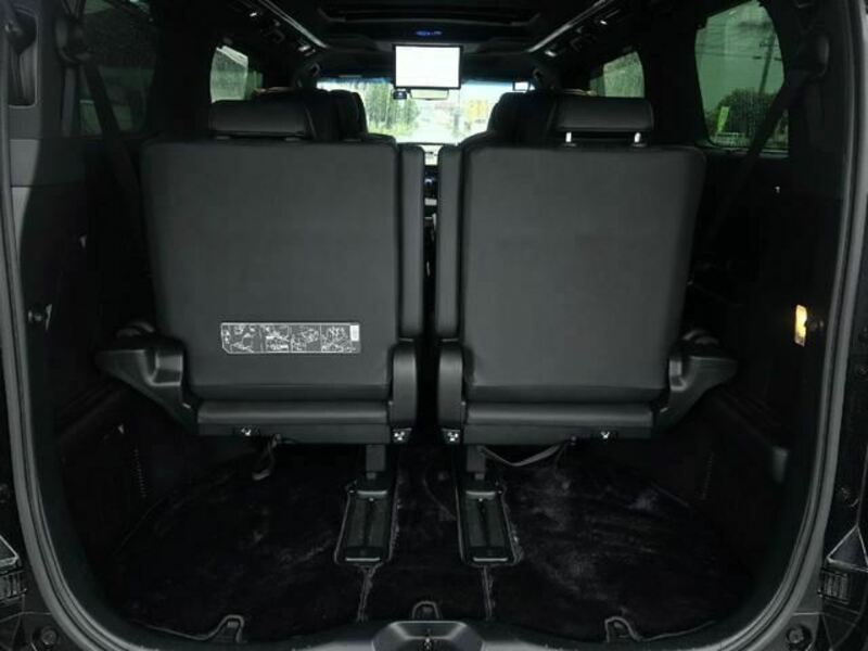 ALPHARD-10