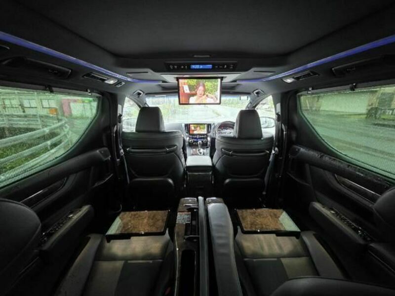 ALPHARD-12