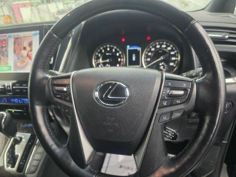ALPHARD-13