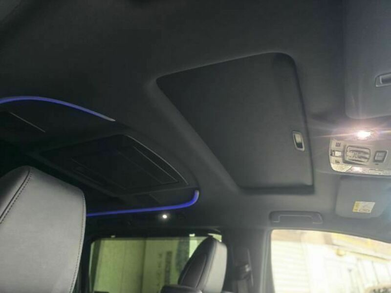 ALPHARD-25