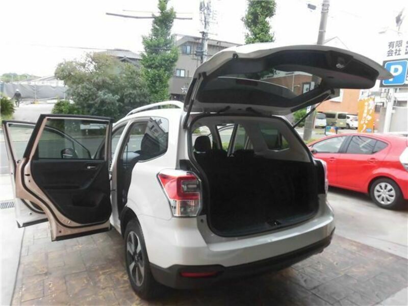 FORESTER