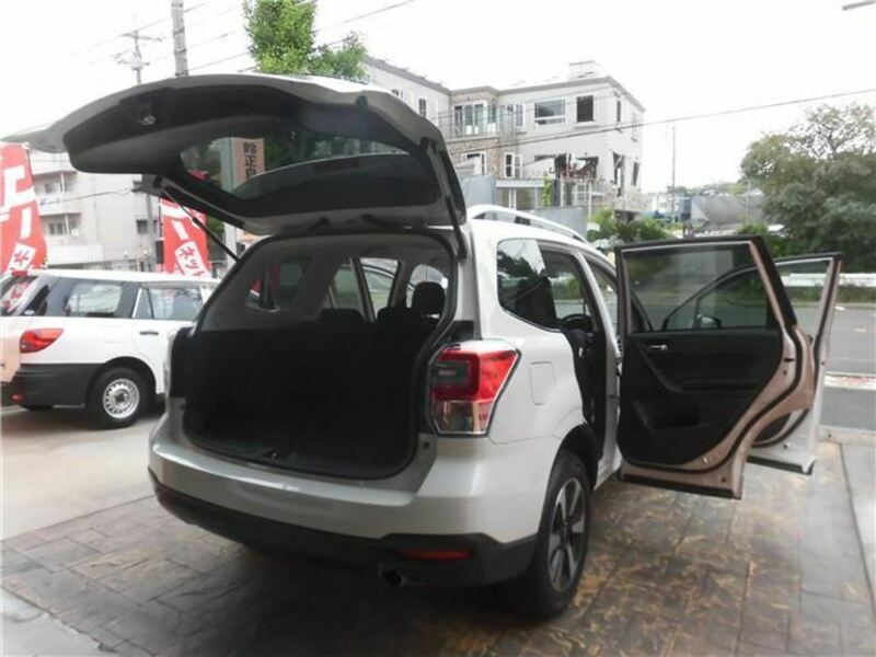FORESTER