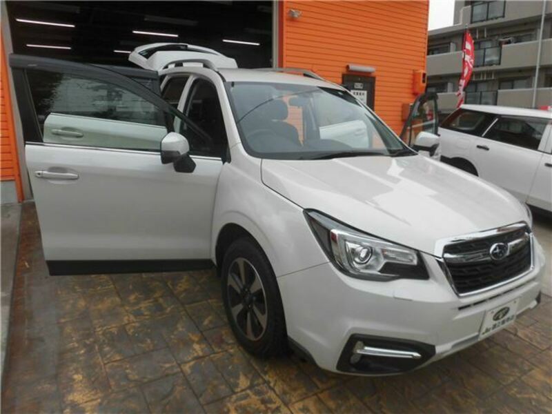 FORESTER