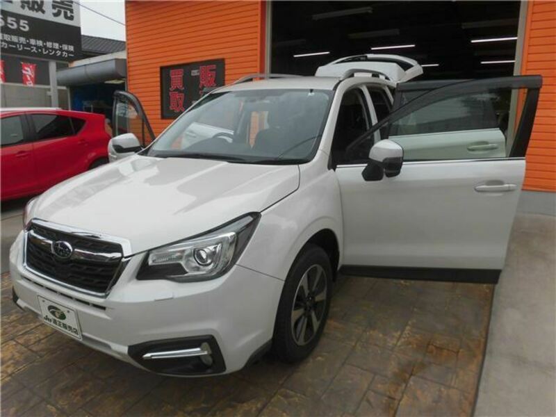 FORESTER