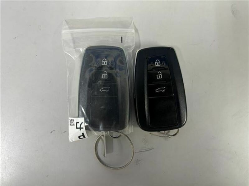 LAND CRUISER PRADO-19