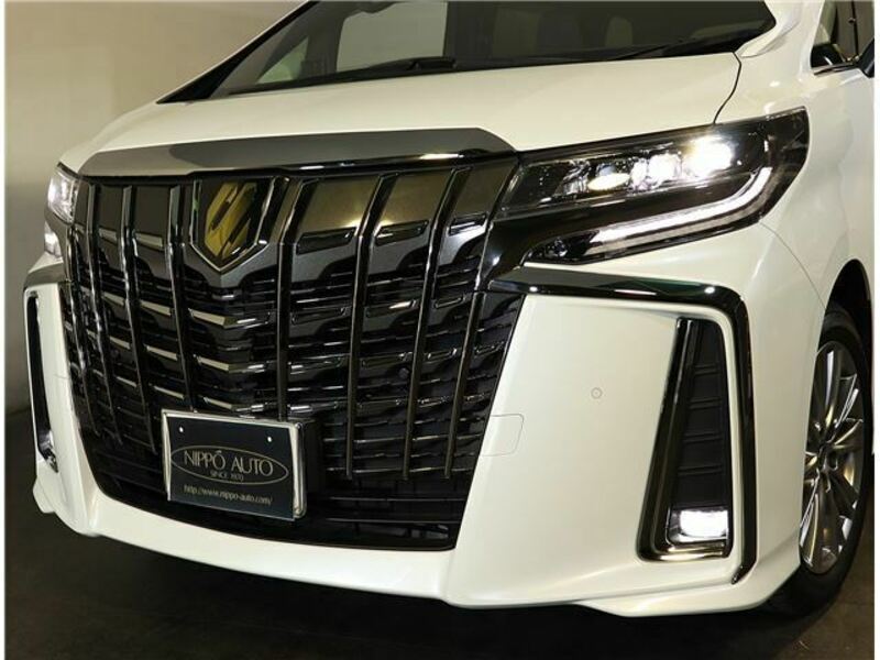 ALPHARD-10