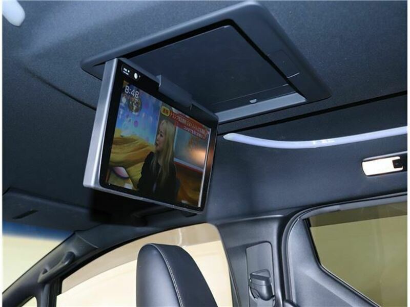 ALPHARD-16