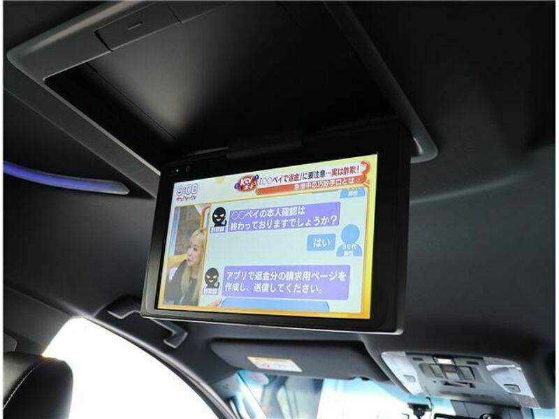 ALPHARD-17