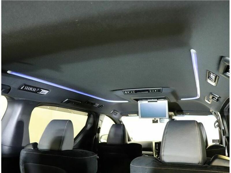ALPHARD-39