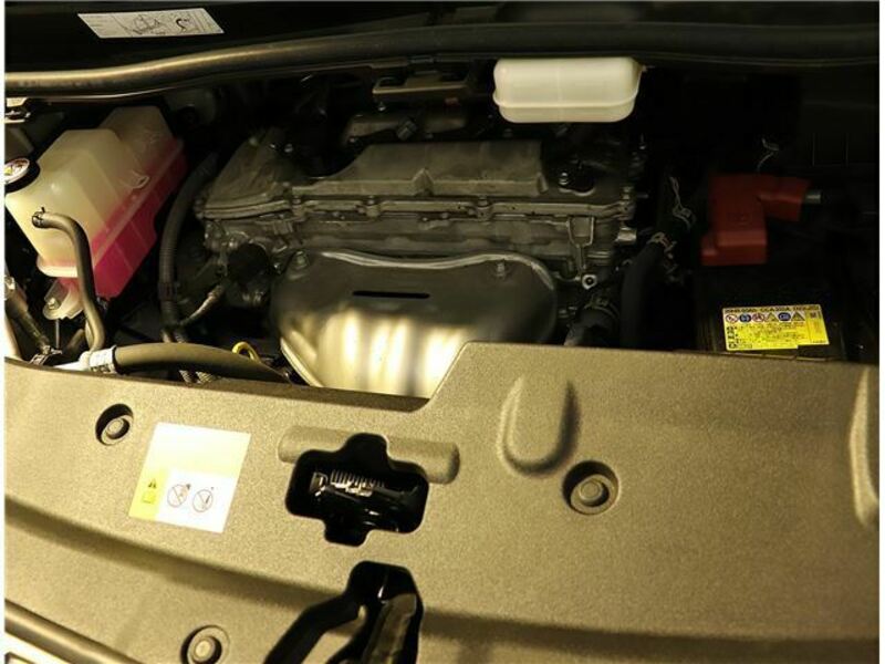 ALPHARD-48