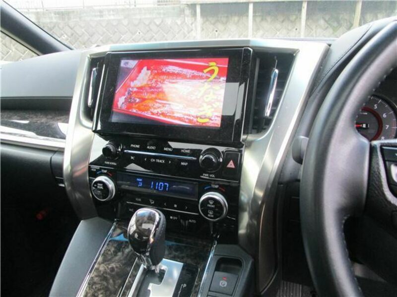 ALPHARD-13