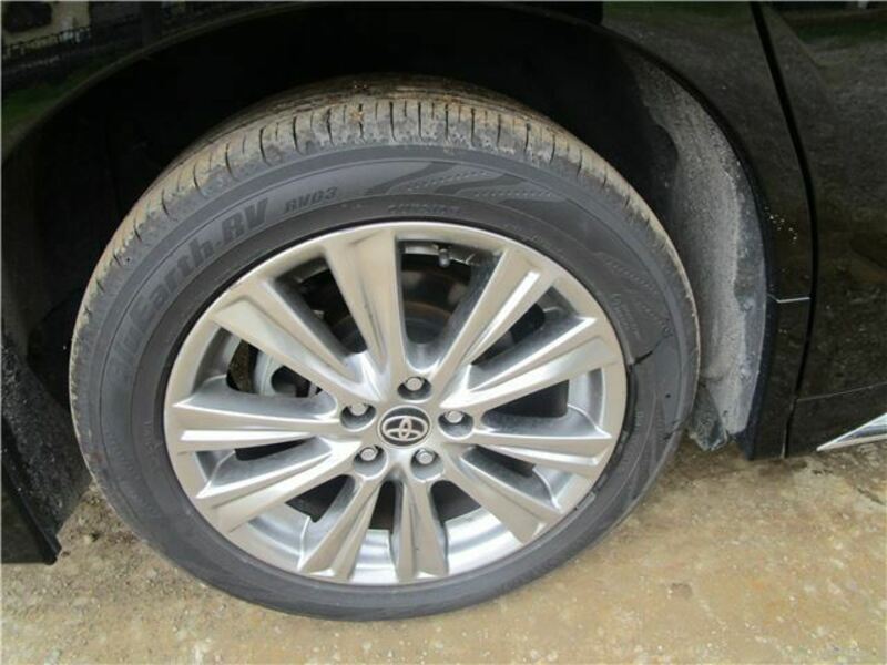 ALPHARD-21