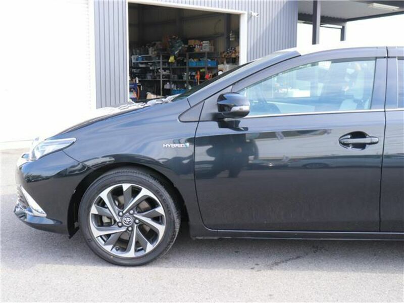 AURIS