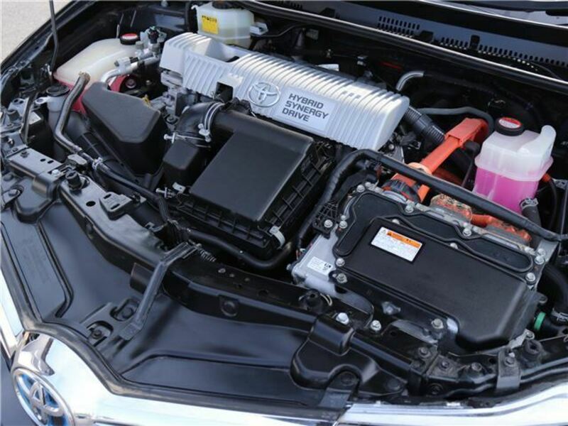 AURIS