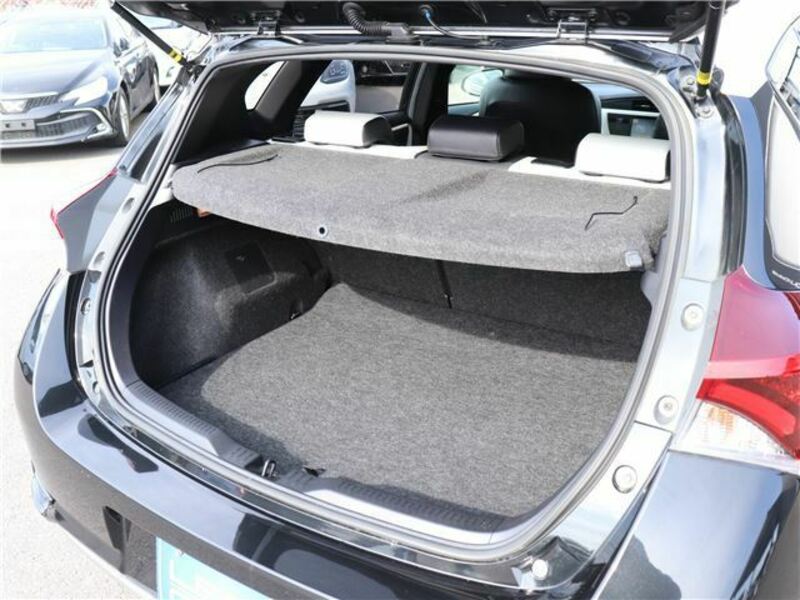AURIS