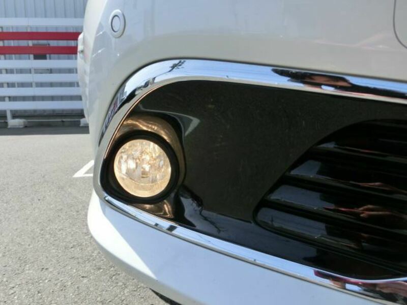AURIS