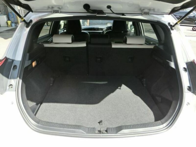AURIS