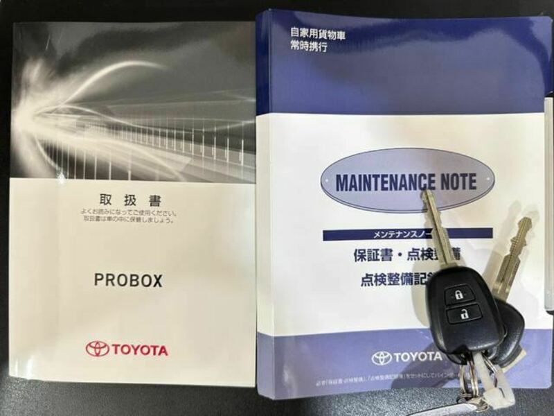 PROBOX VAN