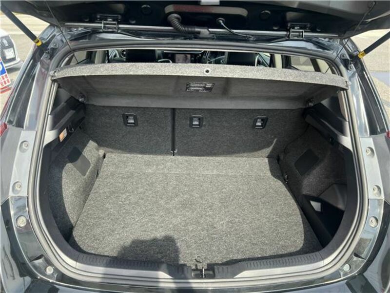 AURIS