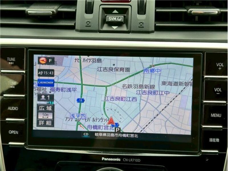 LEVORG