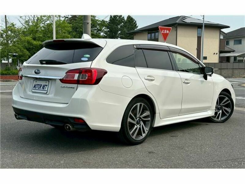 LEVORG