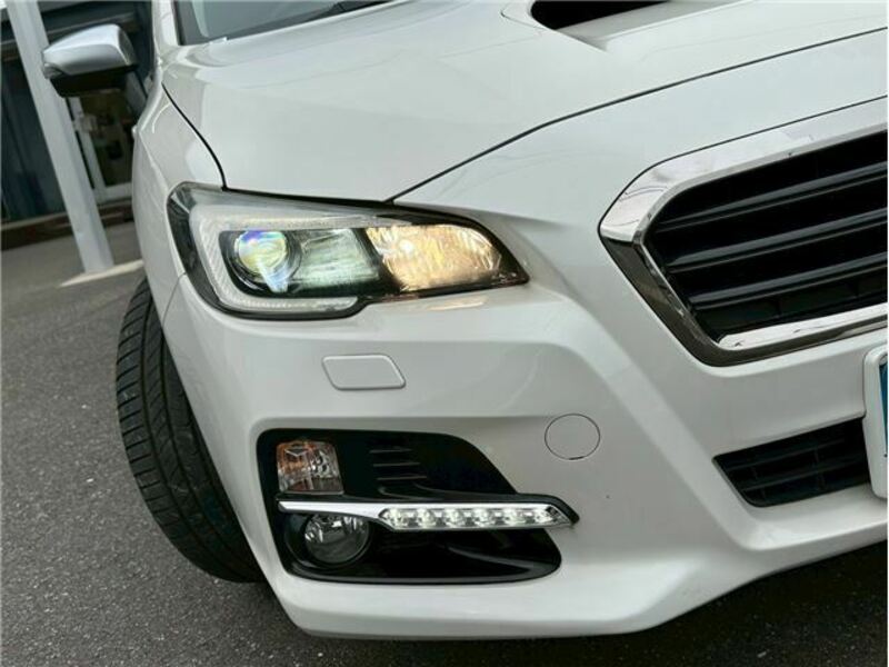 LEVORG