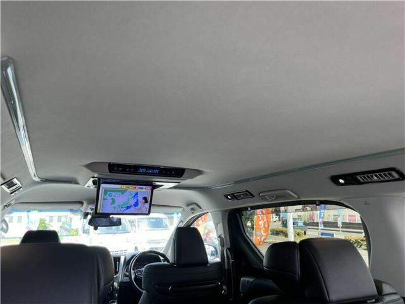 ALPHARD-28