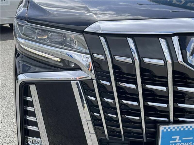 ALPHARD-33