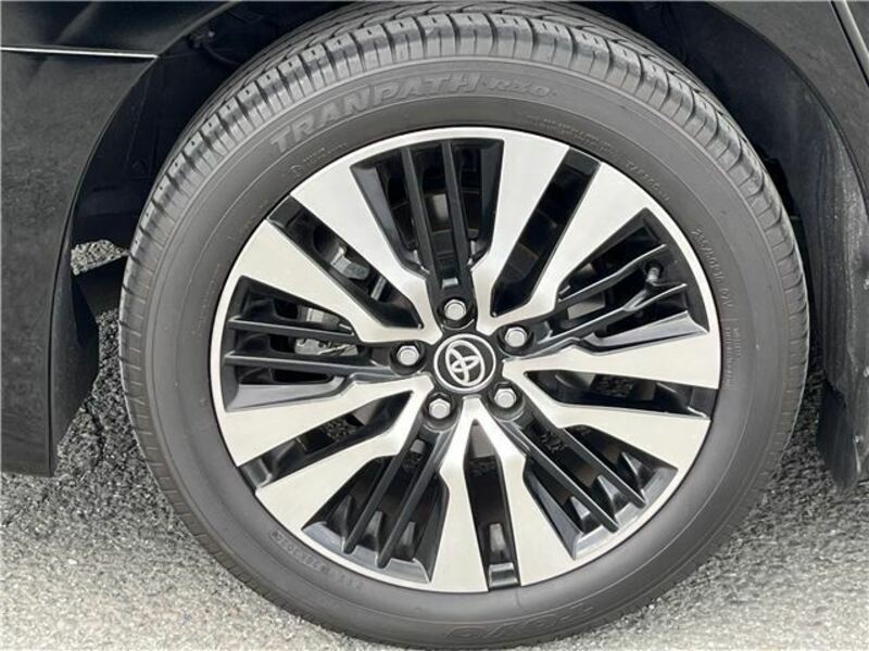 ALPHARD-43