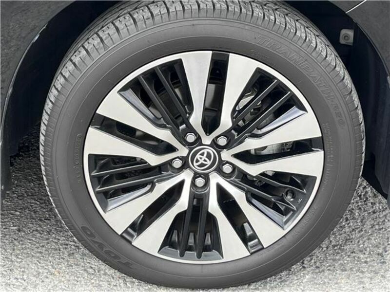 ALPHARD-44
