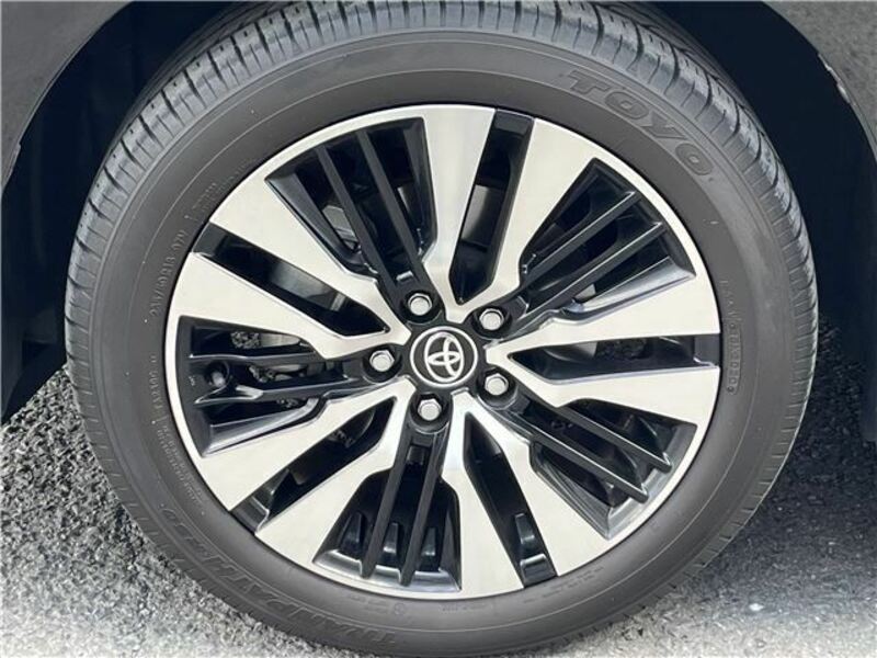 ALPHARD-45