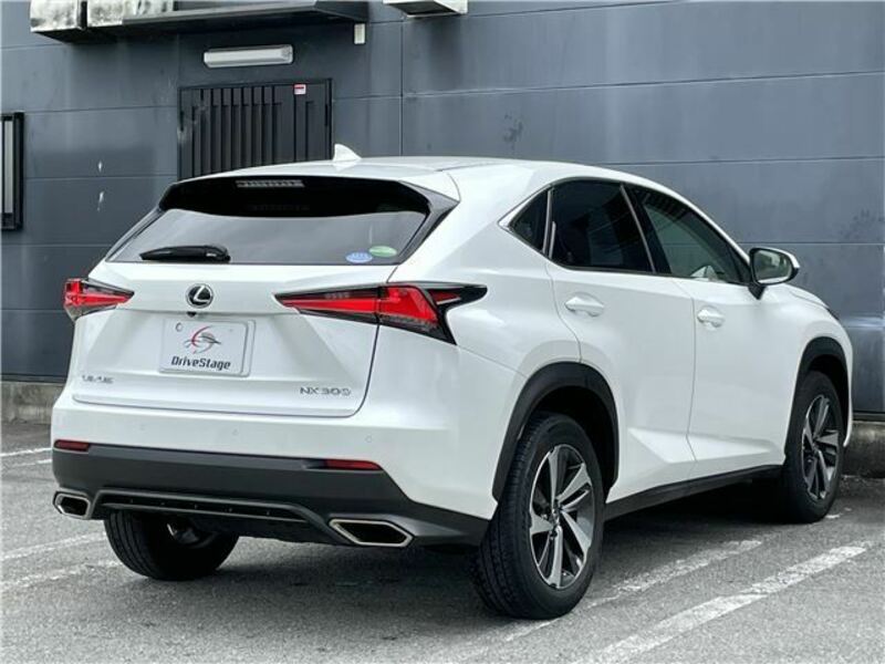 NX
