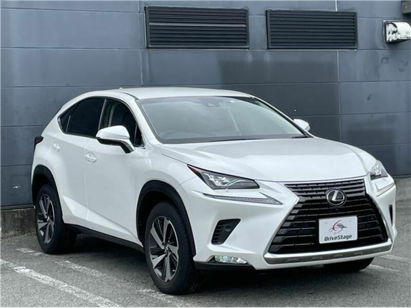 NX