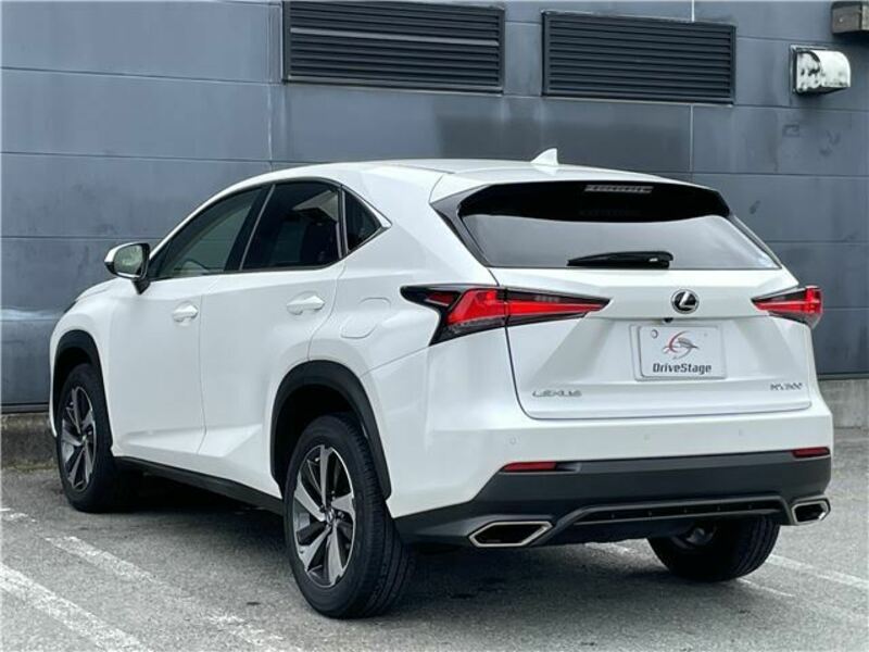 NX