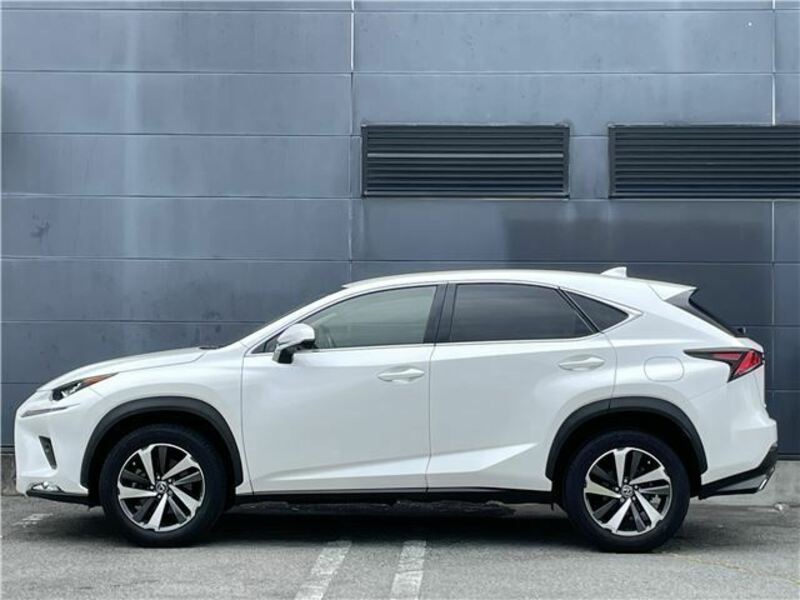 NX