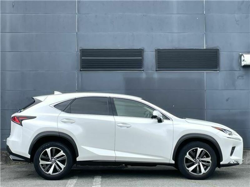NX