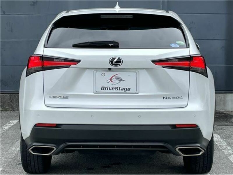 NX