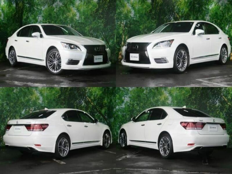 LS-1