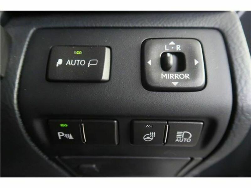 LS-19