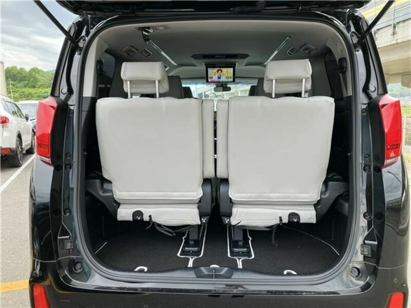 ALPHARD-11