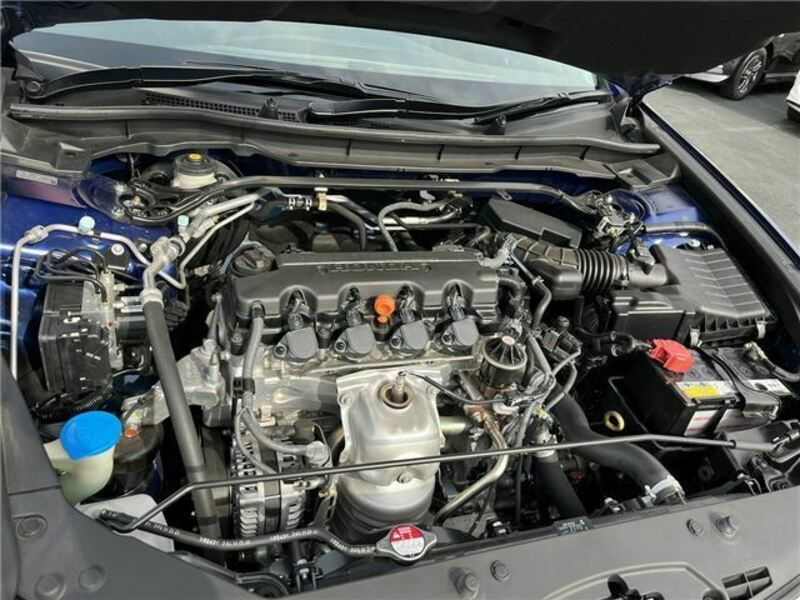 ACCORD-3