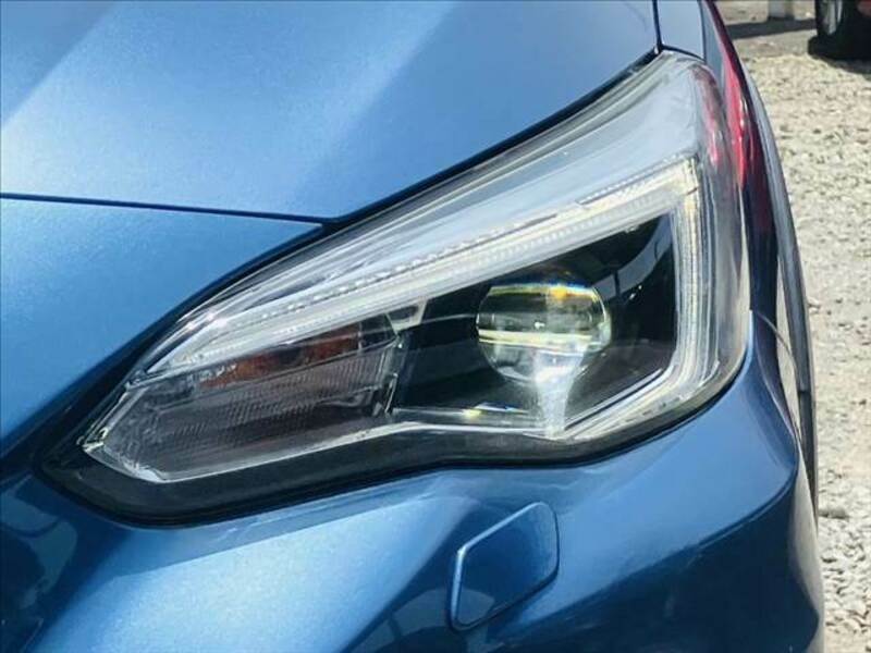 XV