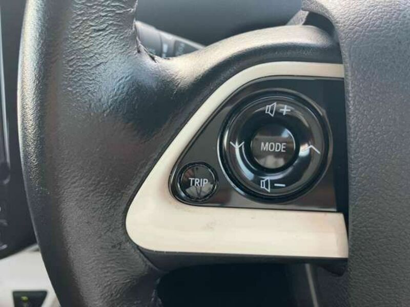PRIUS-7